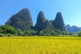 国庆游钟山